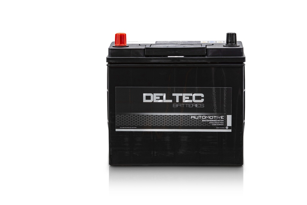 Korean Deltec NS60R | 400CCA 236x128x200mm (55B24R) - Small Terminal