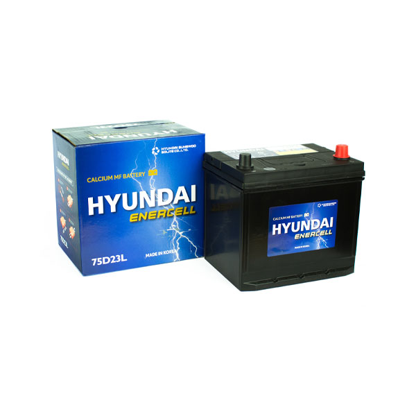 Starter 75D23R | 590CCA 230x172x200mm